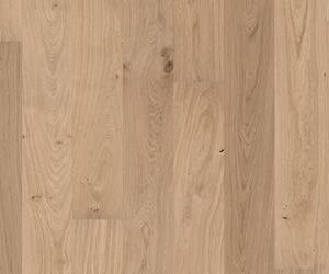 OAK MARGUERITE